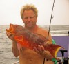 Abrolhos Coronation Trout